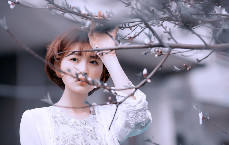 陌上花開，相思成風【情感美文】 - 白石秋水 - 白石秋水