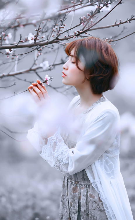 陌上花開，相思成風【情感美文】 - 白石秋水 - 白石秋水