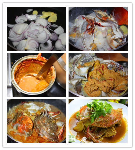紅咖喱梭子蟹--提升食欲 - 周太靚湯 - 周太靚湯