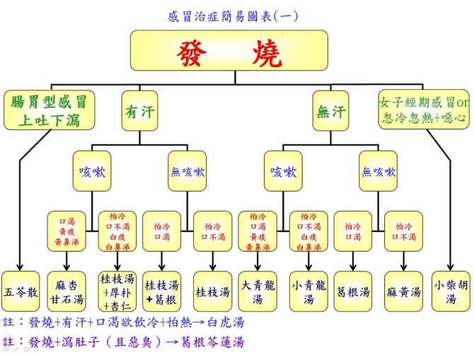 可能是治療感冒最全面、最有效、最好的方法 - xiangbalao1964 - 尋寶神奇的古中醫(yī)