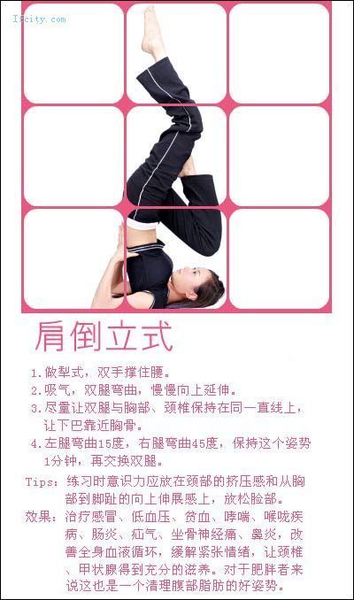 引用 教你在家做瑜珈，很有效的！ - ≡＠⊥＠≡ - 木蘭的空間