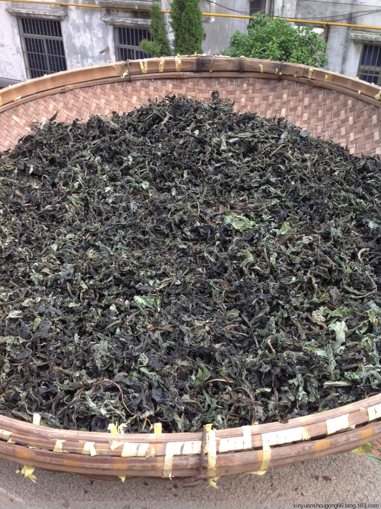 蒲公英咖啡 - 林中漫步 - 鉤針時(shí)光