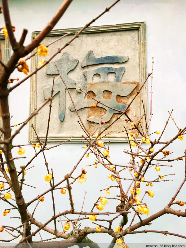 胭脂何必惹清風(fēng)--梅園（手機拍攝） - 周太靚湯 - 周太靚湯