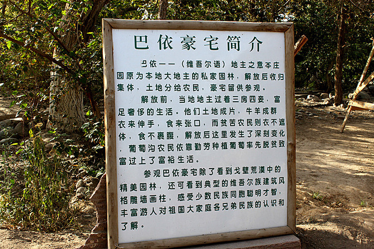 淺醉西域--敦煌-葡萄溝-烏魯木齊-天池 - 花滿樓 - 花滿樓