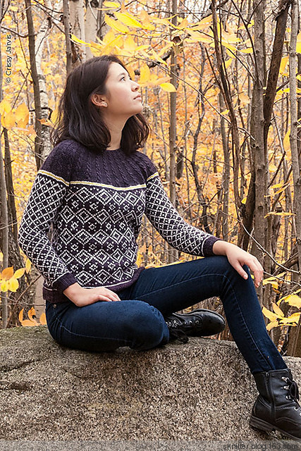 【舒舒編譯館】Twist Collective Winter 2014 細(xì)膩質(zhì)感編織 - sknitter - 【舒舒編譯館】