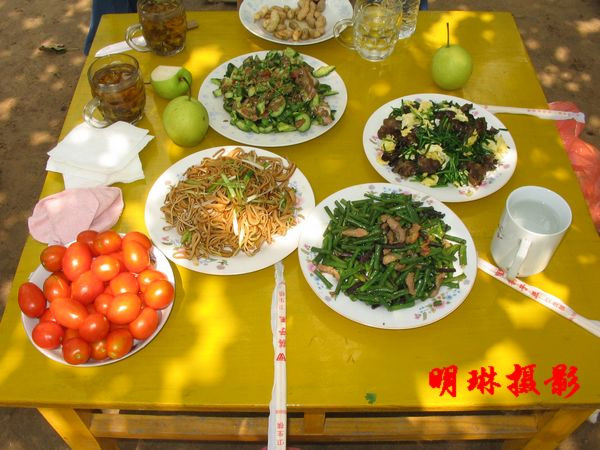 商河縣李桂芬村—采摘的樂園 - 明琳 - 明琳的博客
