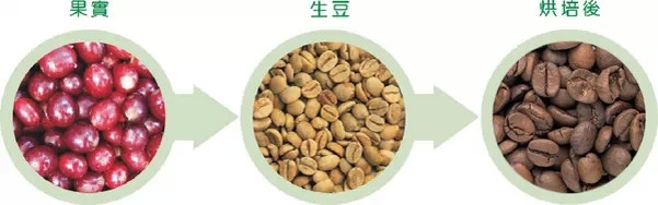 咖啡課堂 | 做杯好咖啡是偶然？掌控3大要素，讓好咖啡成必然 - 周太靚湯 - 周太靚湯
