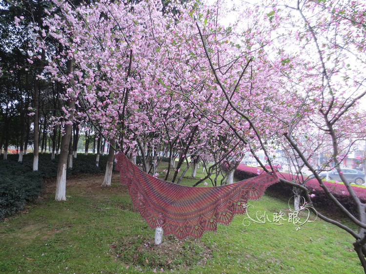 云段  鳳凰開花   披肩 - 云 - 小瞇眼