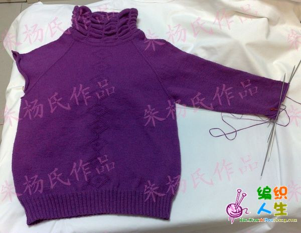從上往下織的插肩毛衣（機器領(lǐng)） - julia668 - julia668的博客