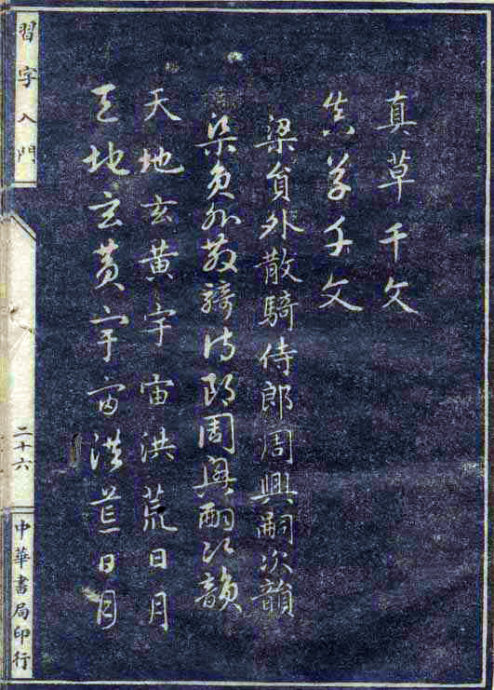 8199-55.jpg