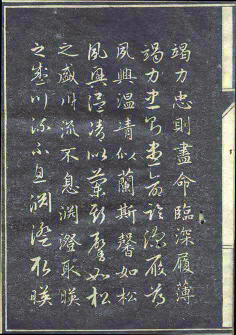 8199-64.jpg