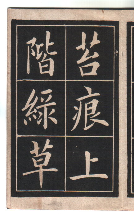 8199-77.jpg