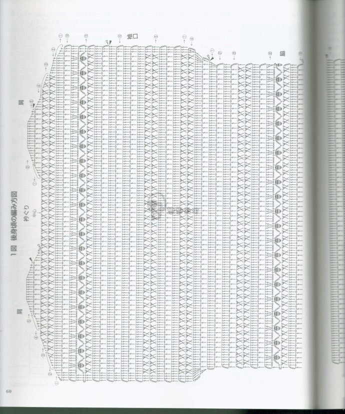 85307-60.jpg