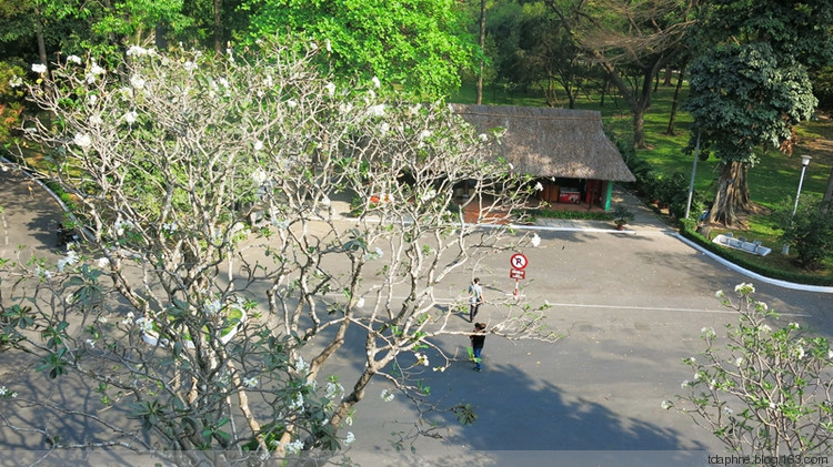 越南南部旅游 （5）回西貢--總統(tǒng)府 - Daphne Tsui - 因為愛所以愛