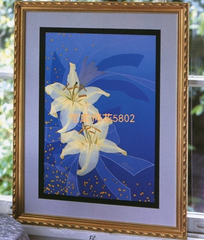29277-12.jpg