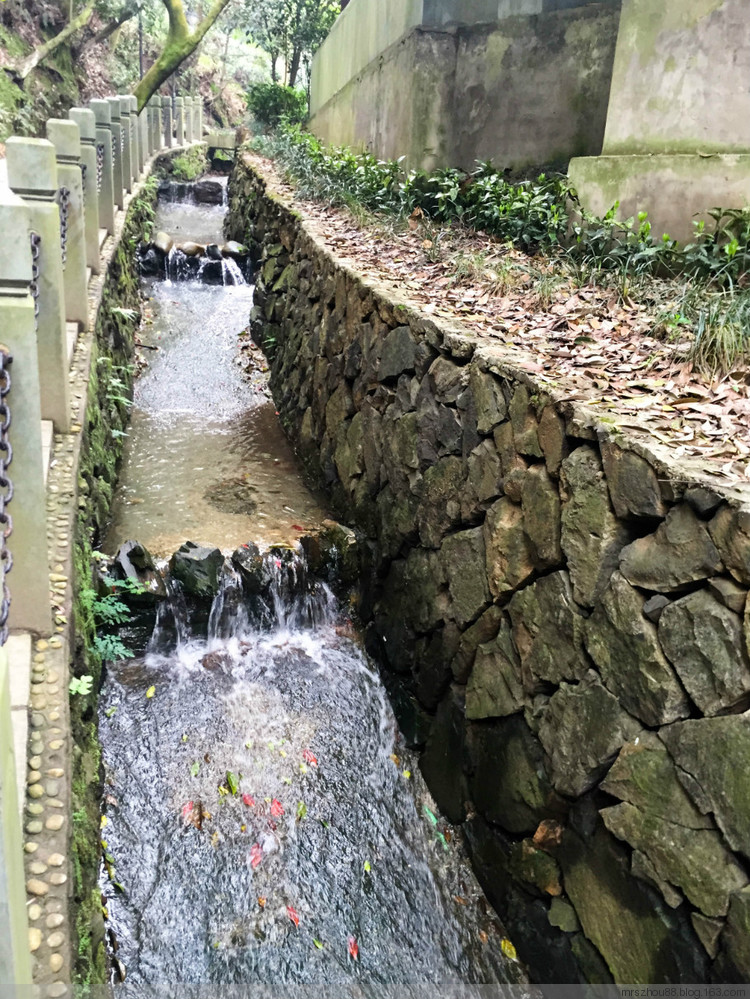 山不在高，有茶成茗－－龍井村一日閑（手機(jī)拍攝） - 周太靚湯 - 周太靚湯