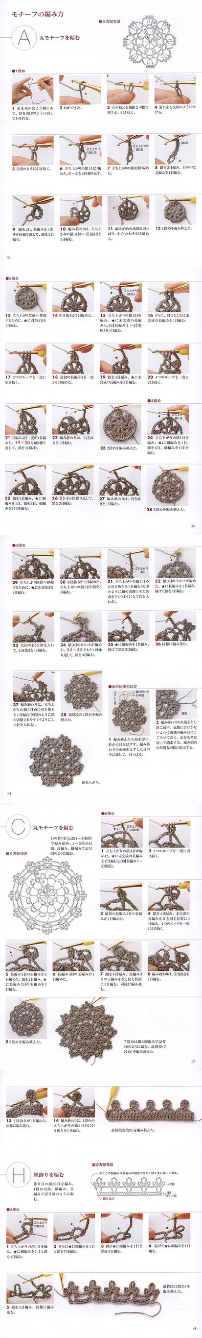 漂亮單元花 - 心路獨舞 - 愛自然 愛生活  愛美麗