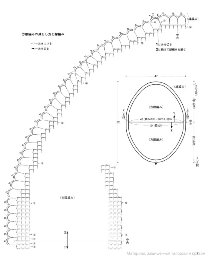 49464-50.jpg