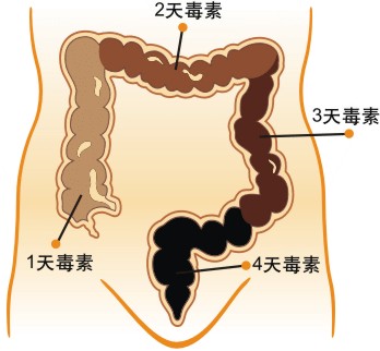 轉(zhuǎn)載：教你如何清腸，教你早晨清腸、除口臭、色斑、大肚腩 - mulangewjh - mulangewjh的博客