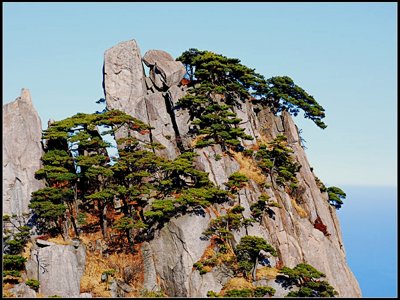 黃山色影[ 組圖 ]  - ch-zh1(知心) - 快樂家園，知心的博客