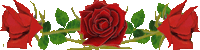 18381834_11