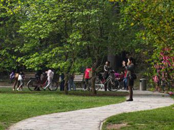 8981-43.jpg