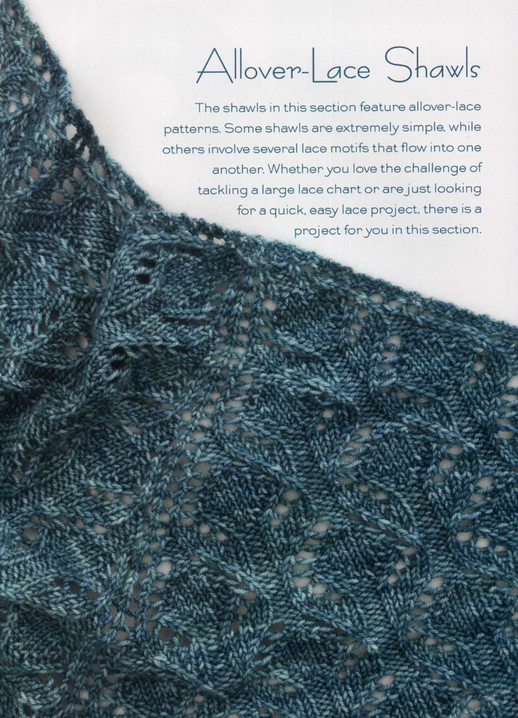 Sock-YarnShawls 鏤空披肩 - 紫蘇 - 紫蘇的博客