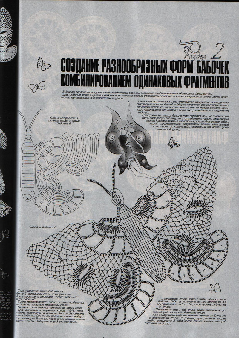 Дуплет Бабочки (1) - 紫蘇 - 紫蘇的博客
