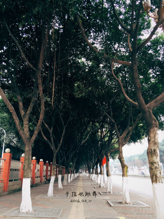 【走走聊聊拍拍】不吃辣不看江的重慶行DAY3——大禮堂、十八梯、湖廣會(huì)館、南山一棵樹(shù) - 手指也跳舞 - 跳舞姐姐的手工莊園