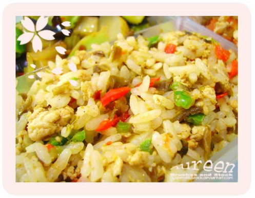 美味盒飯的做法 - 小老鼠 - 群芳競秀的博客 盒飯達人——92種盒飯做法 - 張口笑 - 張口笑的博客