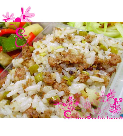美味盒飯的做法 - 小老鼠 - 群芳競秀的博客 盒飯達人——92種盒飯做法 - 張口笑 - 張口笑的博客