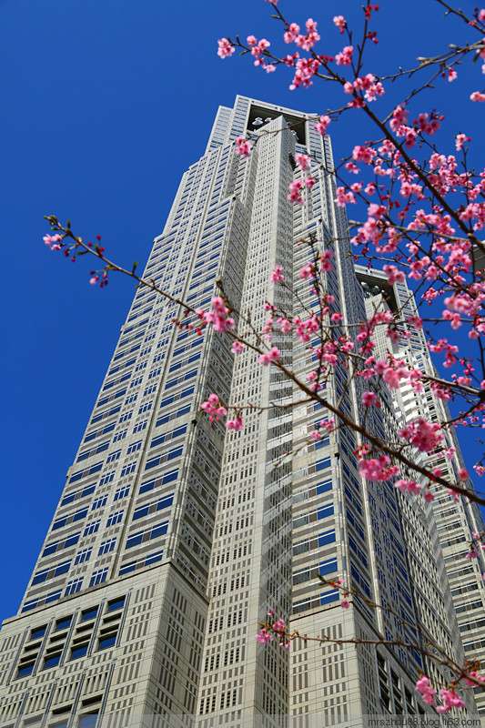 2016年04月05日 - 周太靚湯 - 周太靚湯
