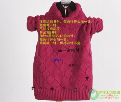 轉(zhuǎn):時(shí)尚的葉子花毛衣 - 雨文 - 雨文的博客 轉(zhuǎn):時(shí)尚的葉子花毛衣 - 雨文 - 雨文的博客