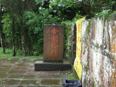 8853-10.jpg