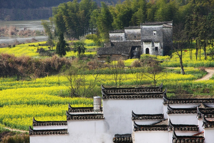 在這里添加中國最美的鄉(xiāng)村婺源____彩虹橋及其它 - 江南風 - 唐古拉山口 在這里添加中國最美的鄉(xiāng)村婺源____彩虹橋及其它 - 江南風 - 唐古拉山口