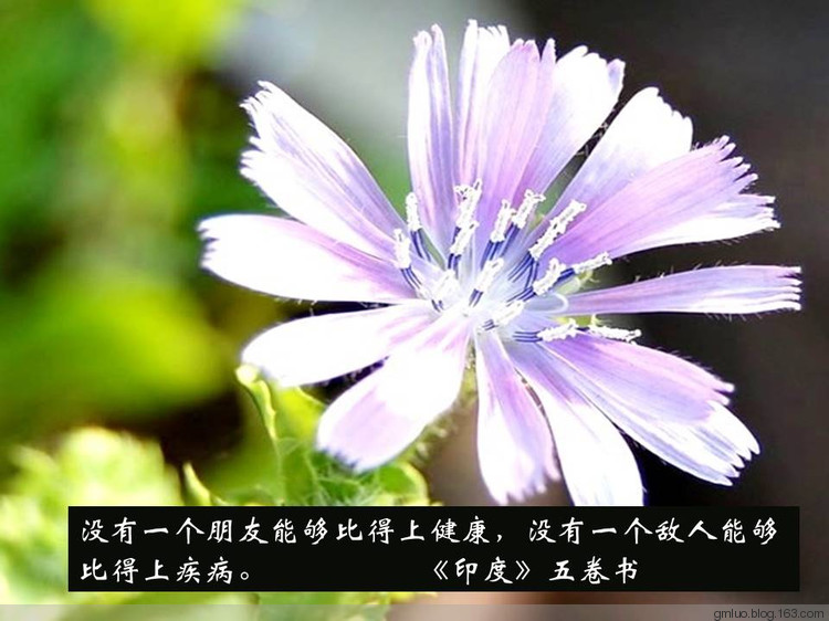 智慧的語言---健康篇 - 老教授 - 老教授