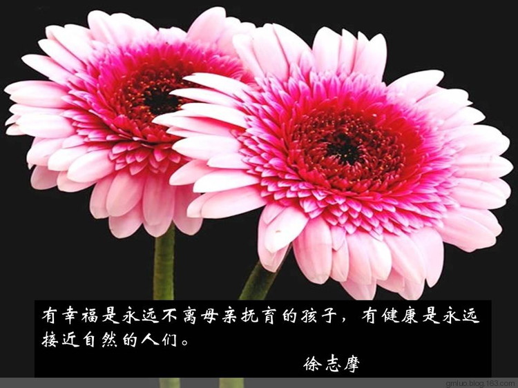 智慧的語言---健康篇 - 老教授 - 老教授