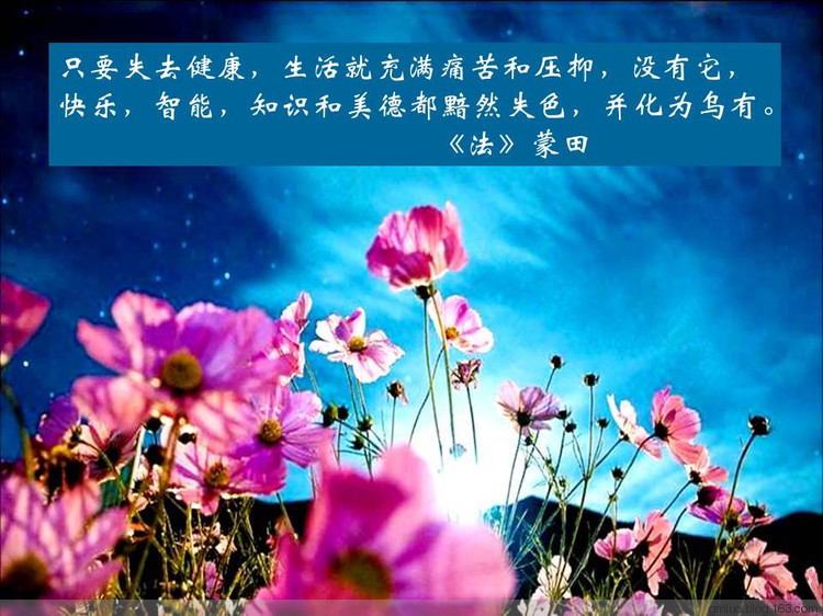 智慧的語言---健康篇 - 老教授 - 老教授