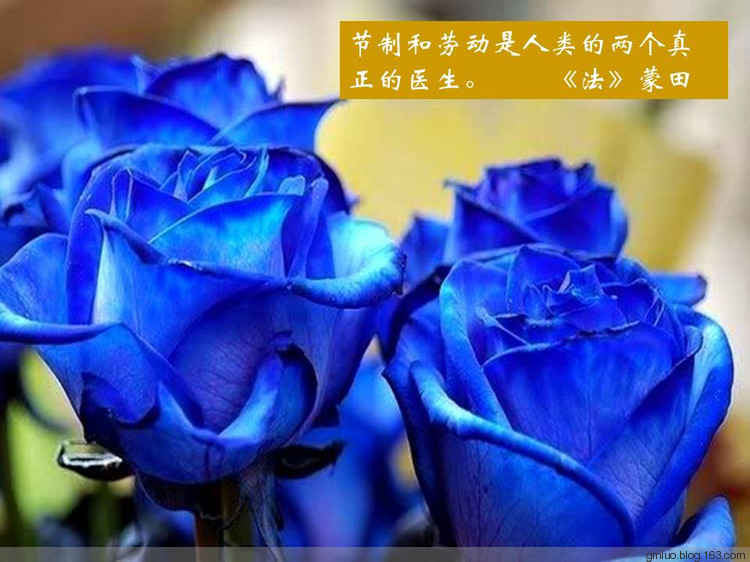 智慧的語言---健康篇 - 老教授 - 老教授