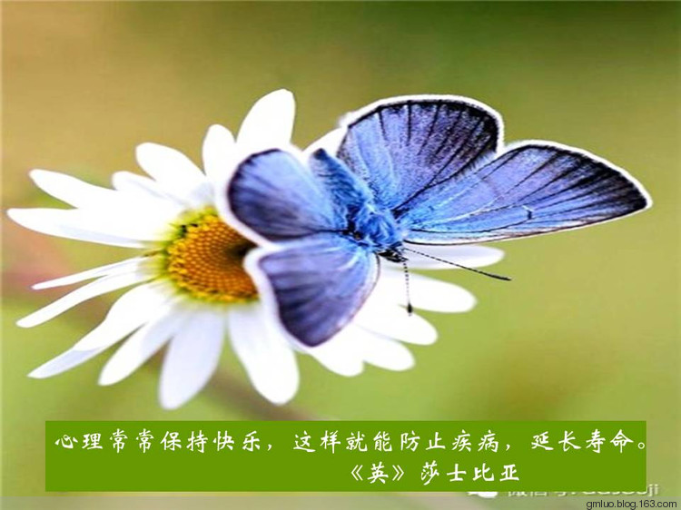 智慧的語言---健康篇 - 老教授 - 老教授