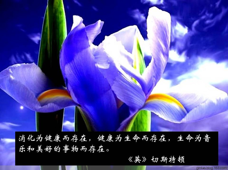 智慧的語言---健康篇 - 老教授 - 老教授