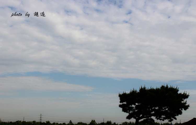 【太倉.金倉湖濕地公園】隨拍 - 邂逅 - 悠然生活