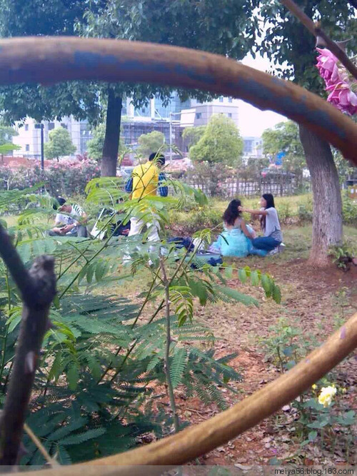 母親節(jié)快樂 - 美雅 -         美 雅
