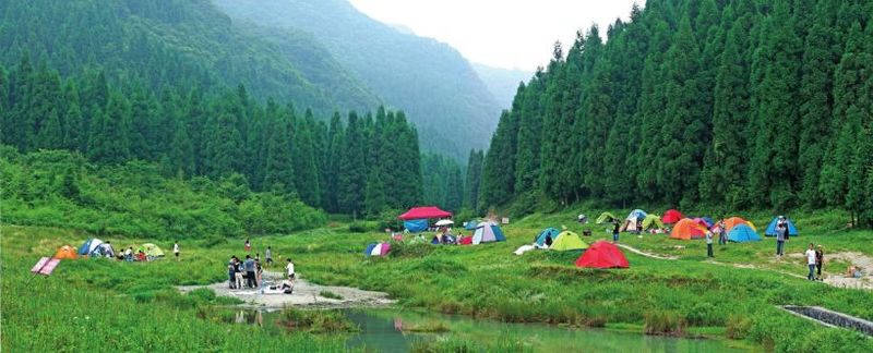 郊區(qū)露營基地 - 81226646 - 榴蓮