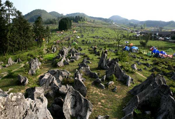 郊區(qū)露營基地 - 81226646 - 榴蓮