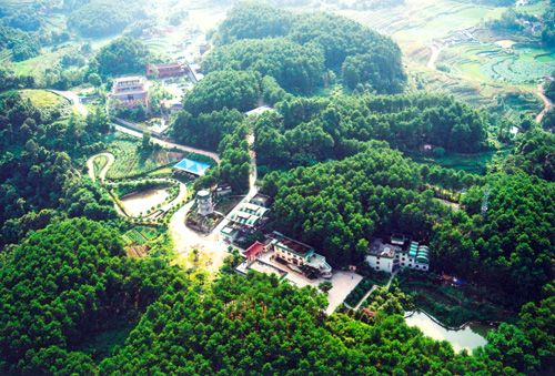 郊區(qū)露營基地 - 81226646 - 榴蓮