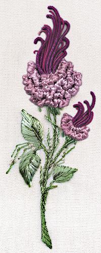 #1403 California Rosebud