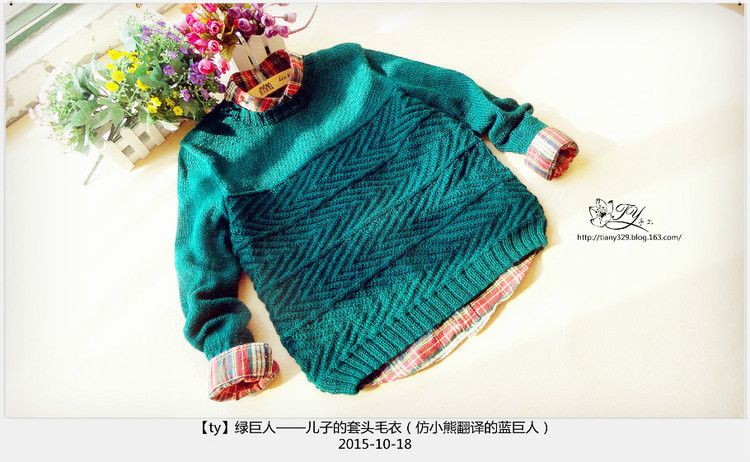 1557——綠巨人——兒子的套頭毛衣（仿小熊翻譯的藍(lán)巨人） - ty - ty 的 編織博客
