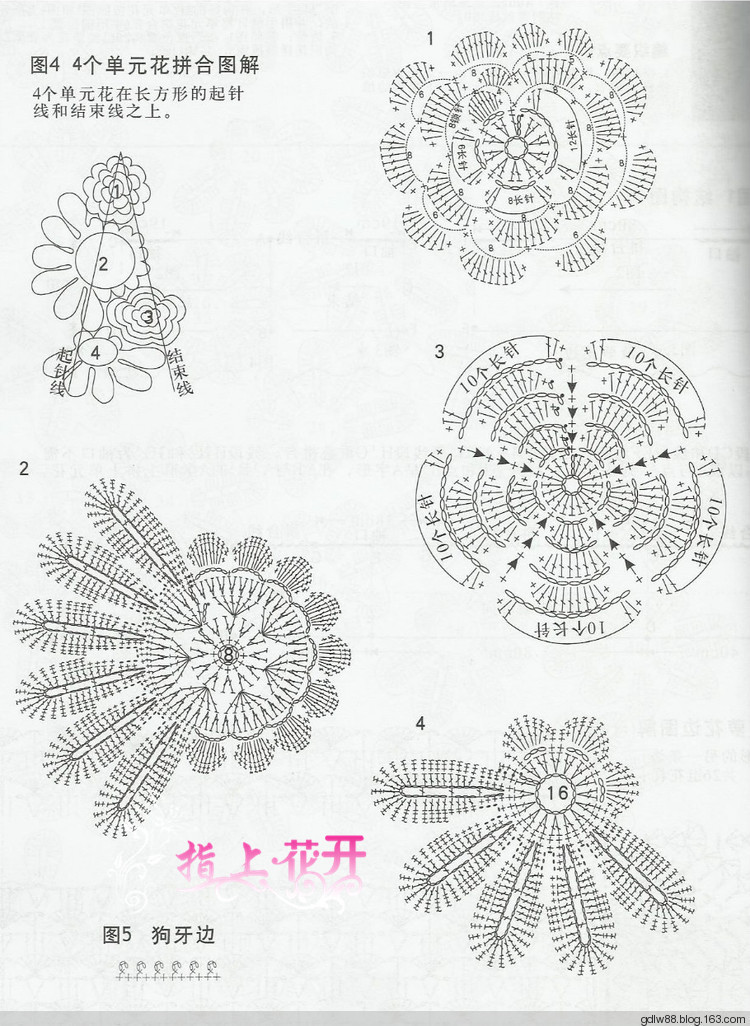 【轉(zhuǎn)載】山菊花匯總02 - 荷塘秀色 - 茶之韻