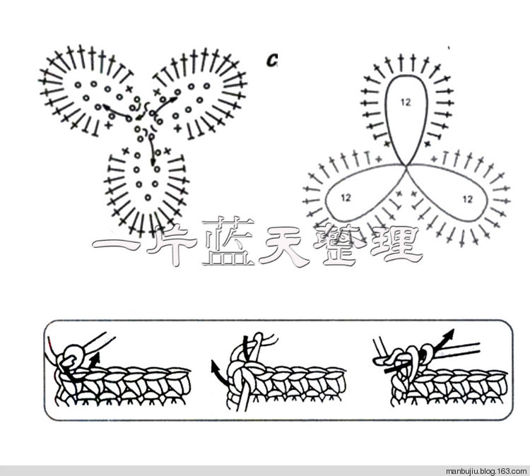 【轉(zhuǎn)載】山菊花匯總02 - 荷塘秀色 - 茶之韻